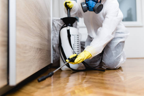 Reliable Hazel Green, AL Pest Control Solutions