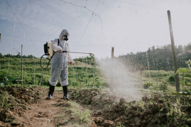 Best Best Pest Control Companies  in Hazel Green, AL