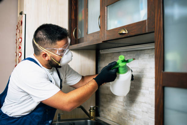 Best Pest Control for Businesses  in Hazel Green, AL