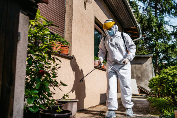 Flea Control Services in Hazel Green, AL
