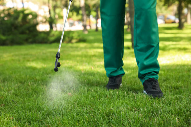 Best Pest Removal Services  in Hazel Green, AL