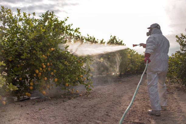 Best Residential Pest Control  in Hazel Green, AL