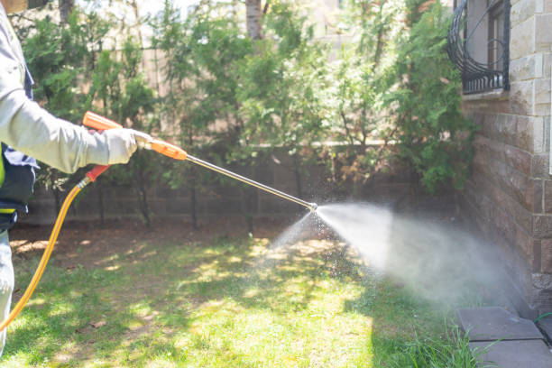 Best Wasp Removal Services  in Hazel Green, AL
